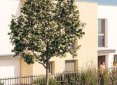 Programme Neuf DOMAINE DU BOIS FLOTTE Le Havre